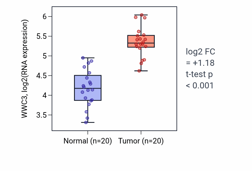 Tumor-vs-normal expression box plot for WWC3 RNA in KIRC.