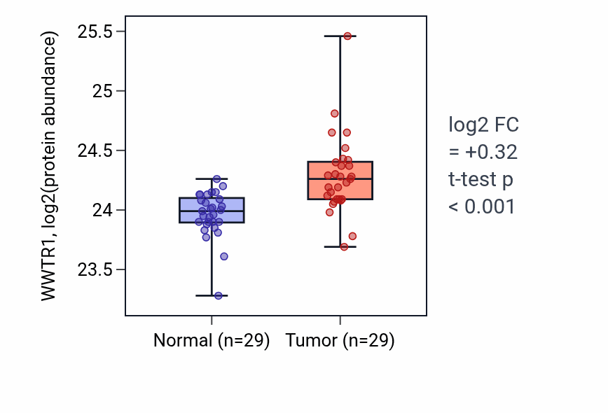 Tumor-vs-normal mass-spec protein box plot for WWTR1 in CCRCC.