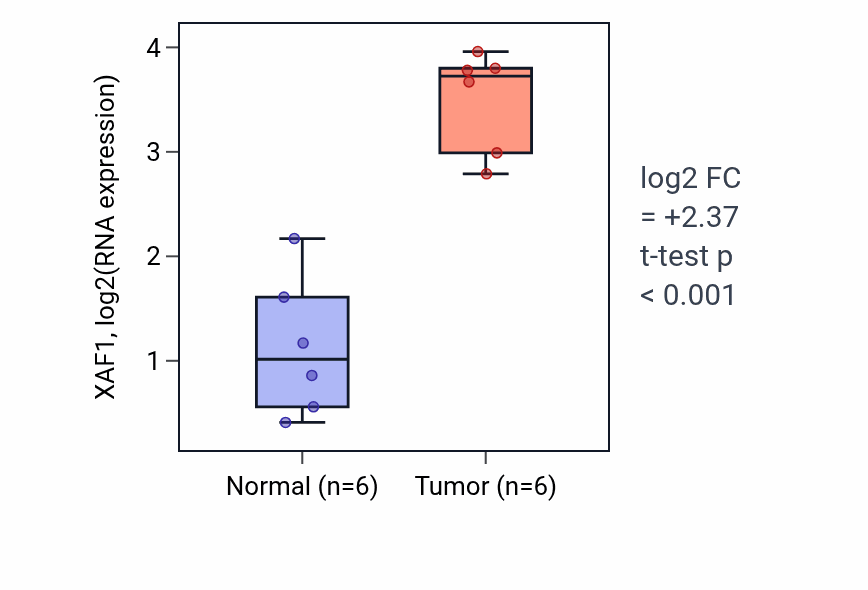 Tumor-vs-normal expression box plot for XAF1 RNA in HNSC.