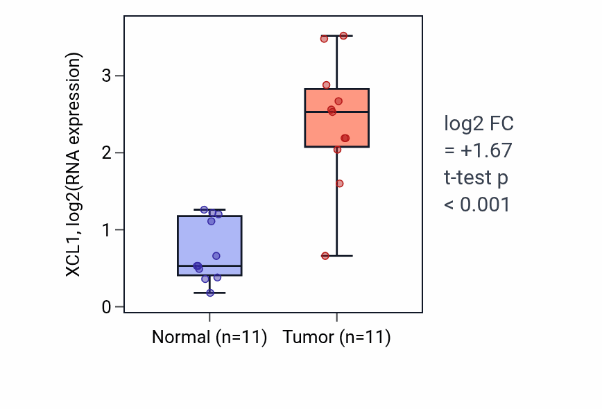 Tumor-vs-normal expression box plot for XCL1 RNA in HNSC.