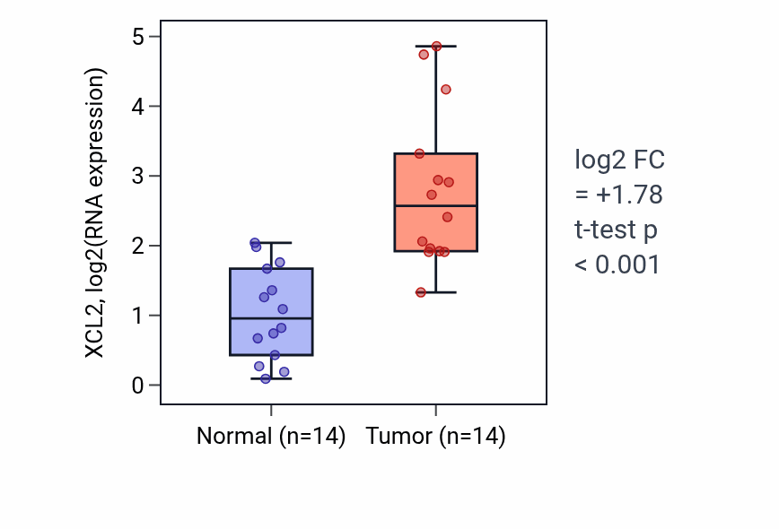 Tumor-vs-normal expression box plot for XCL2 RNA in KIRC.