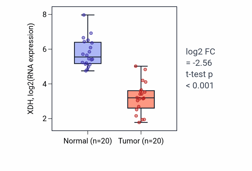 Tumor-vs-normal expression box plot for XDH RNA in COAD.