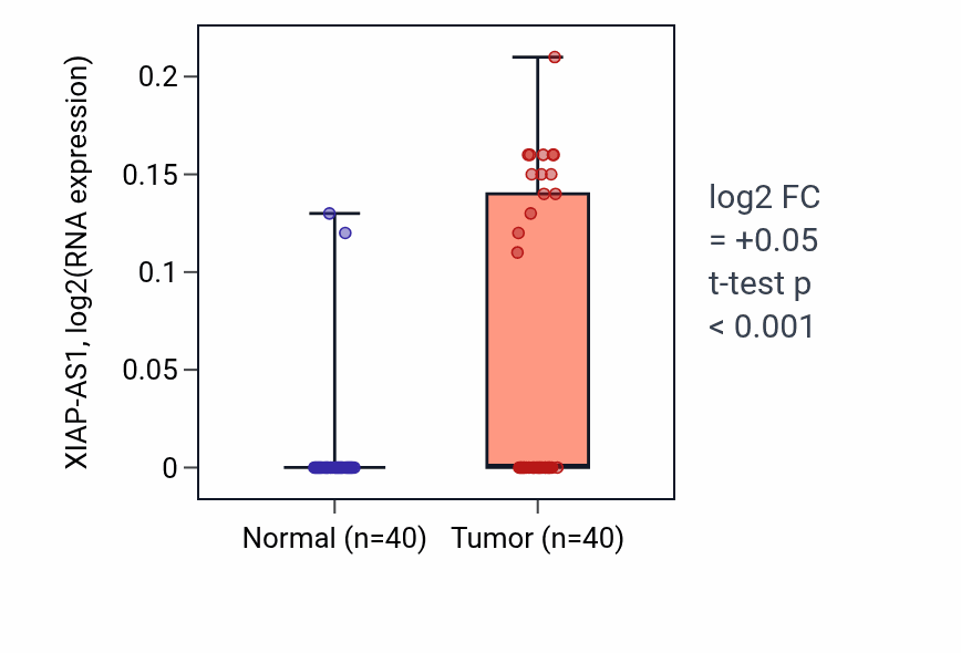 Tumor-vs-normal expression box plot for XIAP-AS1 in HNSC.