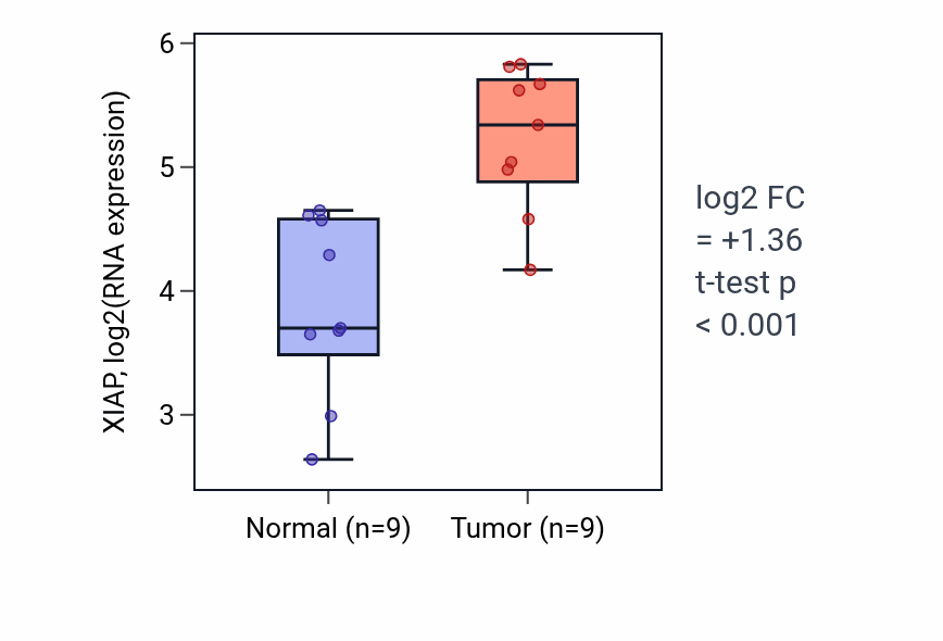 Tumor-vs-normal expression box plot for XIAP RNA in HNSC.