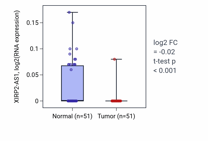 Tumor-vs-normal expression box plot for XIRP2-AS1 RNA in KIRC.