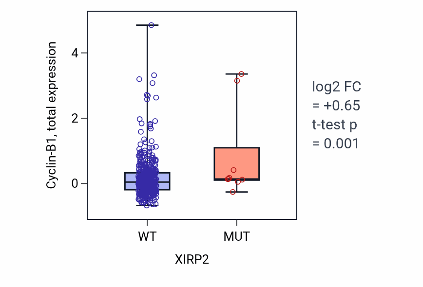 Box plot of Cyclin-B1 in XIRP2-low vs XIRP2-high samples in KIRC.