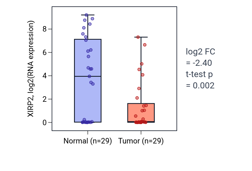Tumor-vs-normal expression box plot for XIRP2 in HNSC.