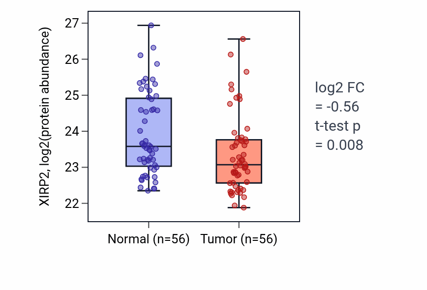 Tumor-vs-normal mass-spec protein box plot for XIRP2 in HNSC.