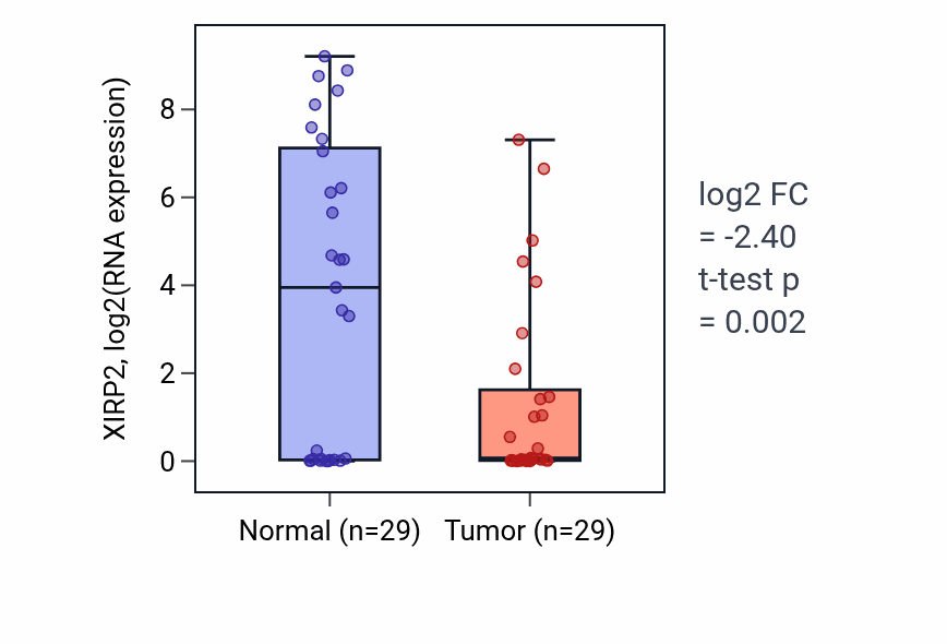 Tumor-vs-normal expression box plot for XIRP2 RNA in HNSC.