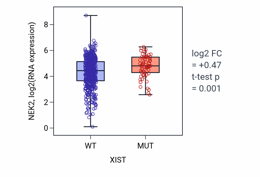 Box plot of NEK2 in XIST-low vs XIST-high samples in UCEC.