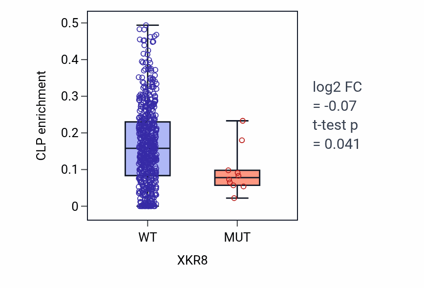 Box plot of CLP in XKR8-low vs XKR8-high samples in UCEC.