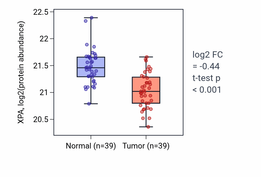 Tumor-vs-normal mass-spec protein box plot for XPA in HNSC.
