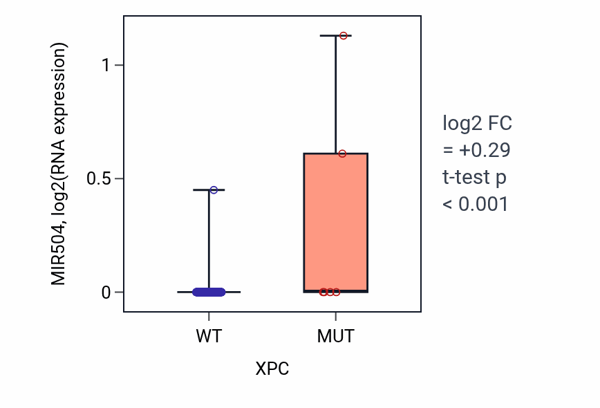 Box plot of MIR504 in XPC-low vs XPC-high samples in CESC.