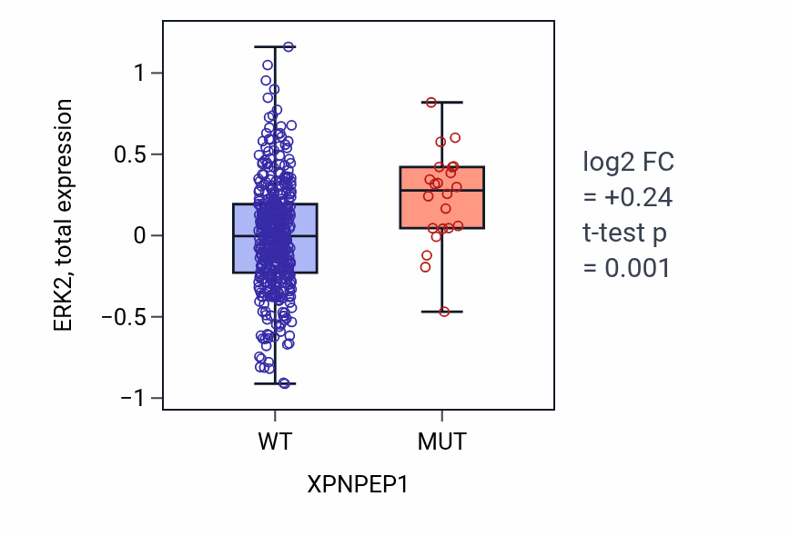 Box plot of ERK2 in XPNPEP1-low vs XPNPEP1-high samples in UCEC.