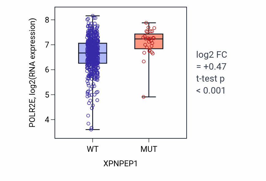 Box plot of POLR2E in XPNPEP1-low vs XPNPEP1-high samples in UCEC.