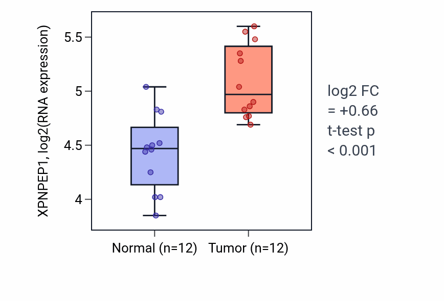 Tumor-vs-normal expression box plot for XPNPEP1 RNA in KIRC.