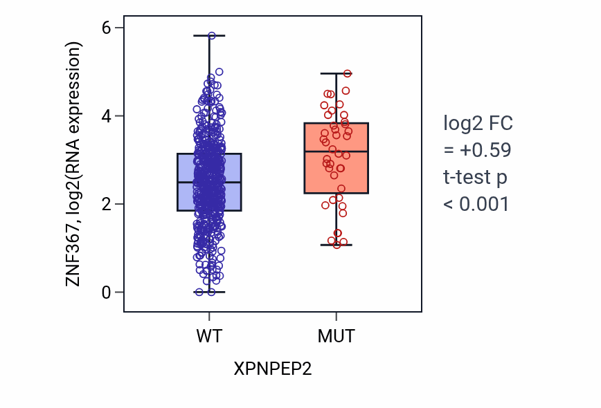 Box plot of ZNF367 in XPNPEP2-low vs XPNPEP2-high samples in UCEC.