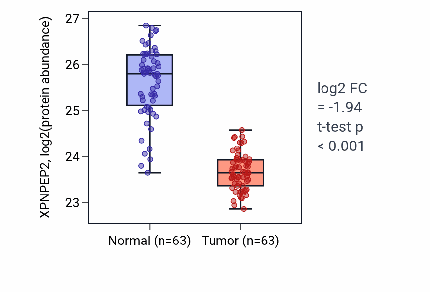 Tumor-vs-normal mass-spec protein box plot for XPNPEP2 in CCRCC.