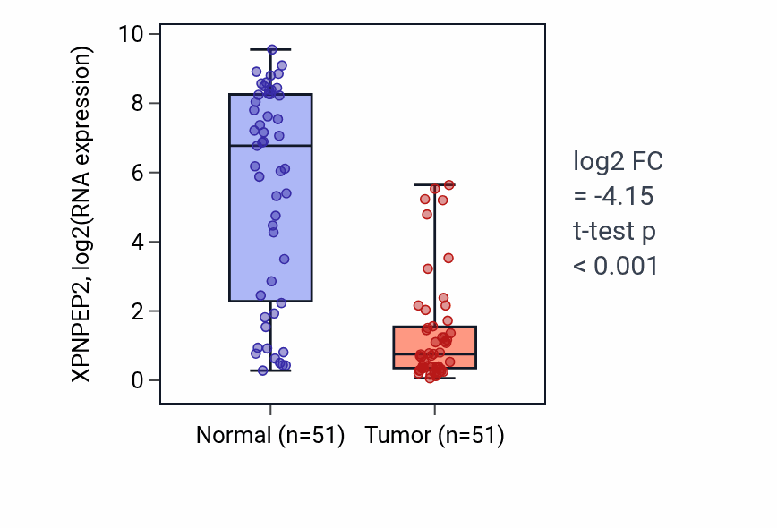 Tumor-vs-normal expression box plot for XPNPEP2 RNA in KIRC.