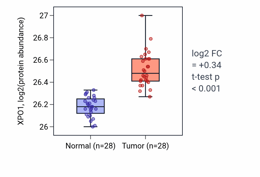Tumor-vs-normal mass-spec protein box plot for XPO1 in COAD.
