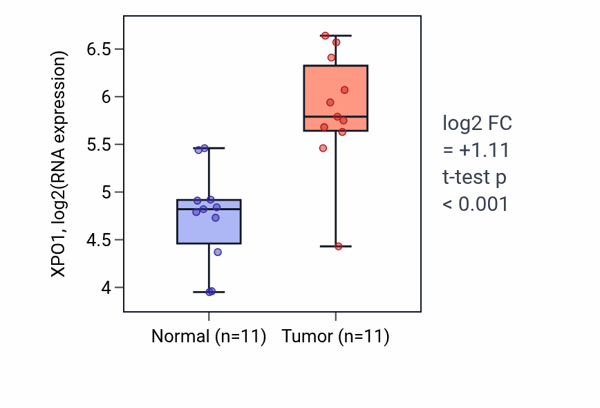 Tumor-vs-normal expression box plot for XPO1 RNA in HNSC.