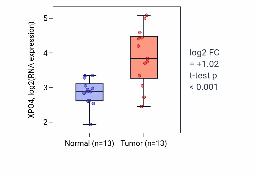 Tumor-vs-normal expression box plot for XPO4 RNA in COAD.