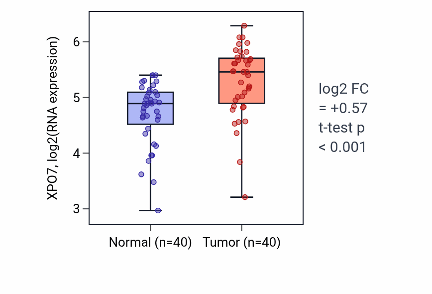 Tumor-vs-normal expression box plot for XPO7 RNA in HNSC.