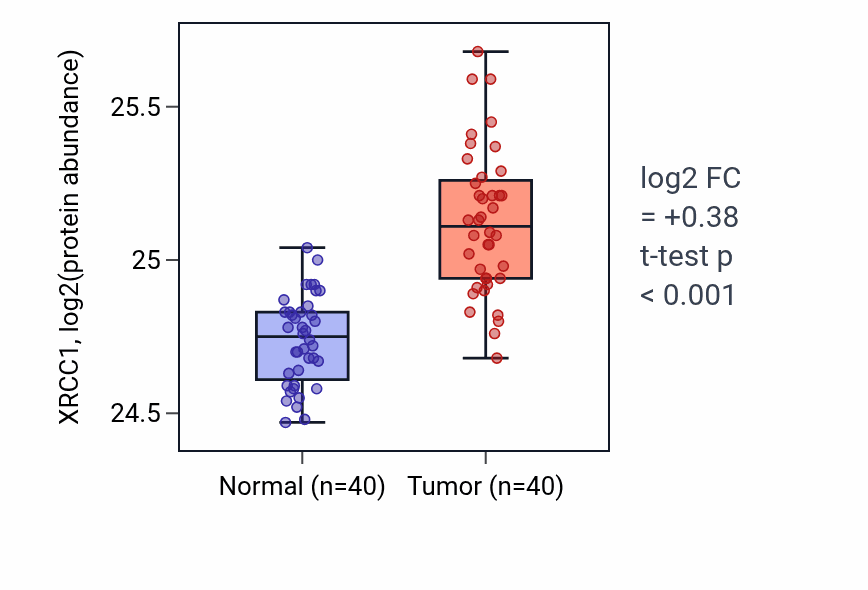 Tumor-vs-normal mass-spec protein box plot for XRCC1 in COAD.