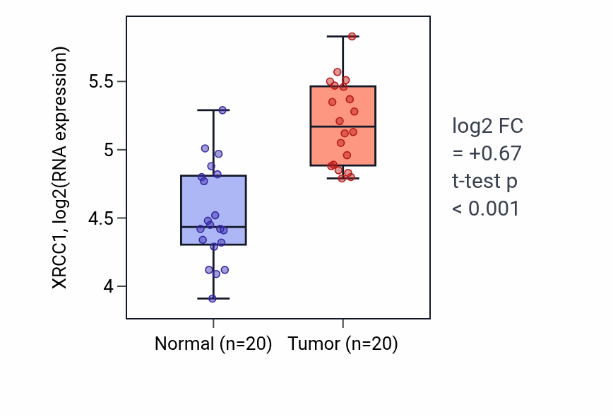 Tumor-vs-normal expression box plot for XRCC1 RNA in KIRC.