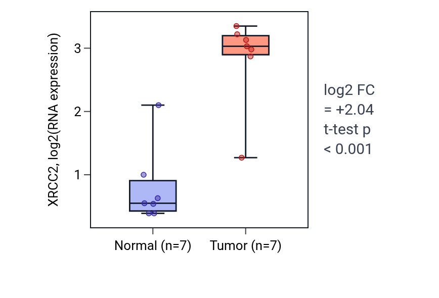 Tumor-vs-normal expression box plot for XRCC2 in BLCA.