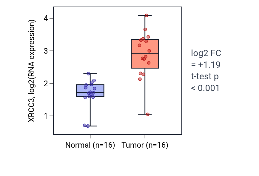 Tumor-vs-normal expression box plot for XRCC3 in HNSC.