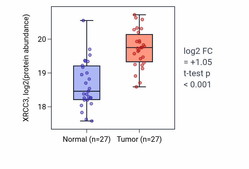 Tumor-vs-normal mass-spec protein box plot for XRCC3 in LSCC.