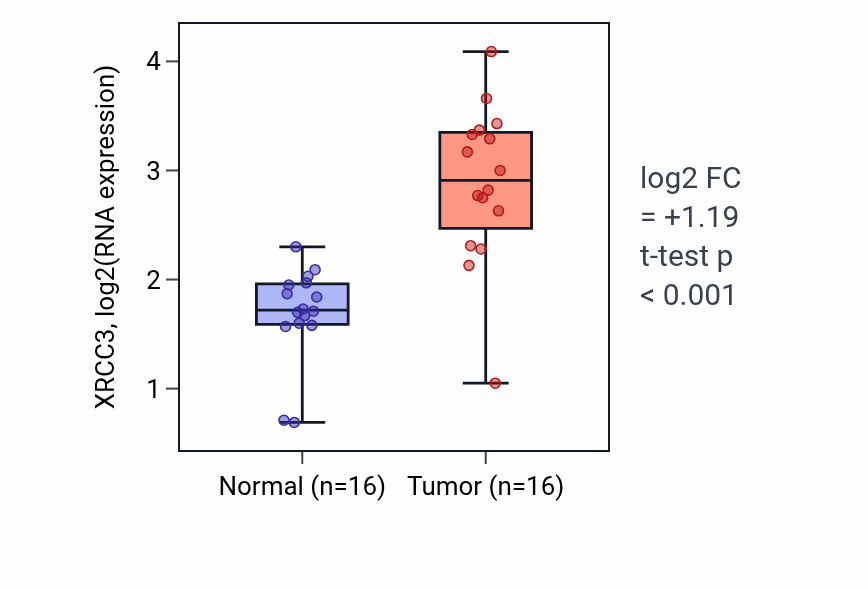 Tumor-vs-normal expression box plot for XRCC3 RNA in HNSC.