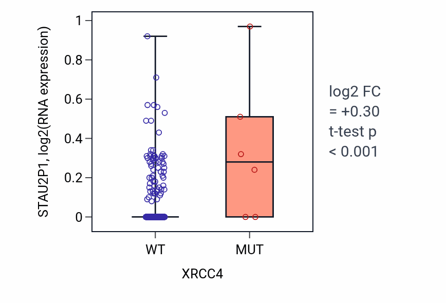Box plot of STAU2P1 in XRCC4-low vs XRCC4-high samples in COAD.