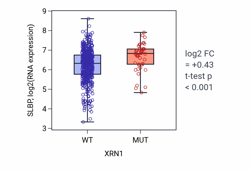 Box plot of SLBP in XRN1-low vs XRN1-high samples in UCEC.