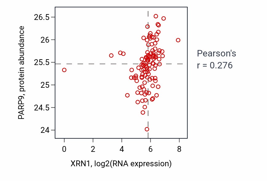 Per-sample scatter of XRN1 vs PARP9 in HNSC (Pearson r = 0.28).