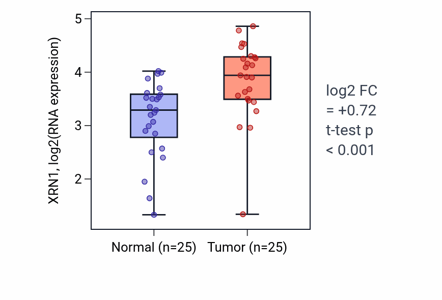 Tumor-vs-normal expression box plot for XRN1 RNA in HNSC.