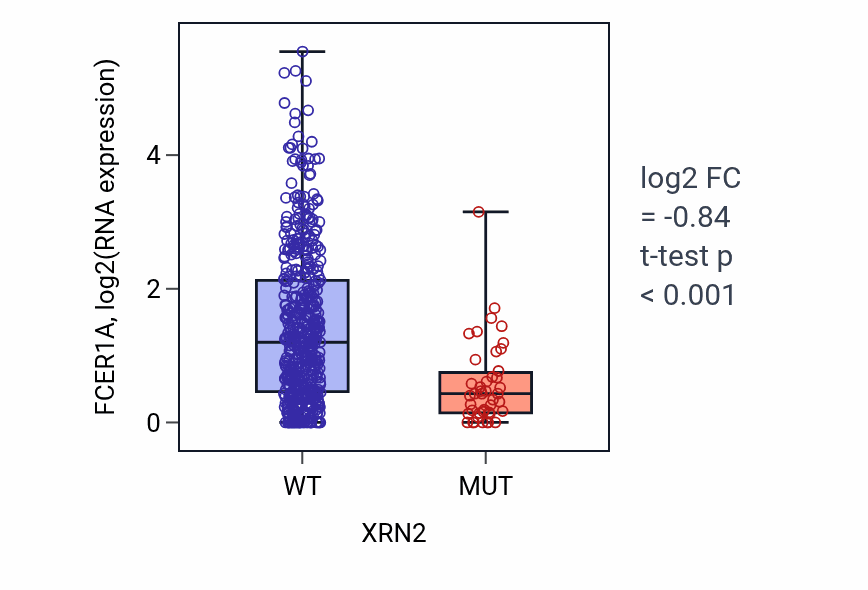 Box plot of FCER1A in XRN2-low vs XRN2-high samples in UCEC.