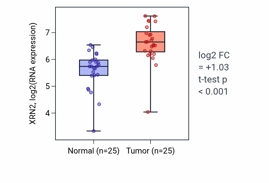 Tumor-vs-normal expression box plot for XRN2 RNA in HNSC.