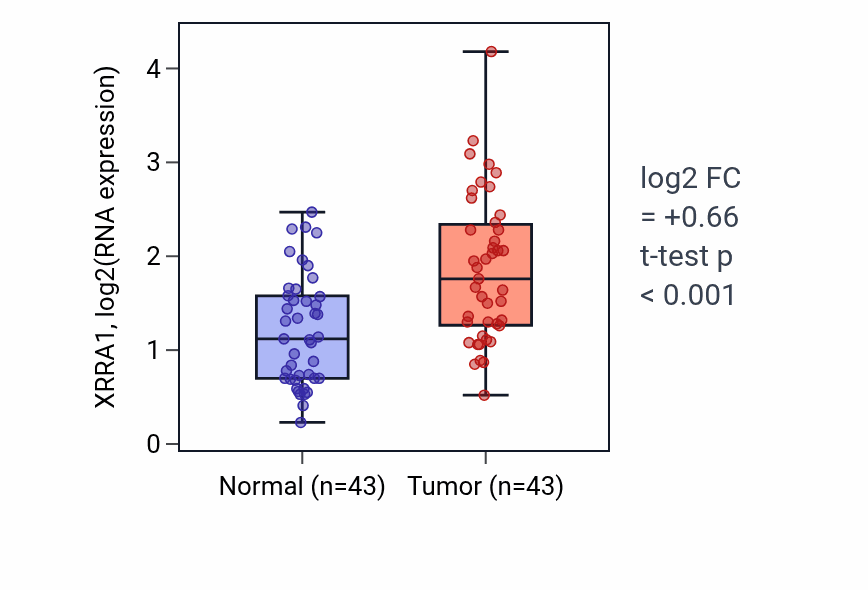 Tumor-vs-normal expression box plot for XRRA1 in HNSC.