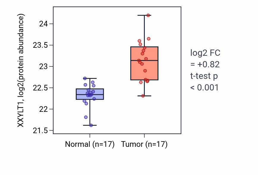 Tumor-vs-normal mass-spec protein box plot for XXYLT1 in LSCC.