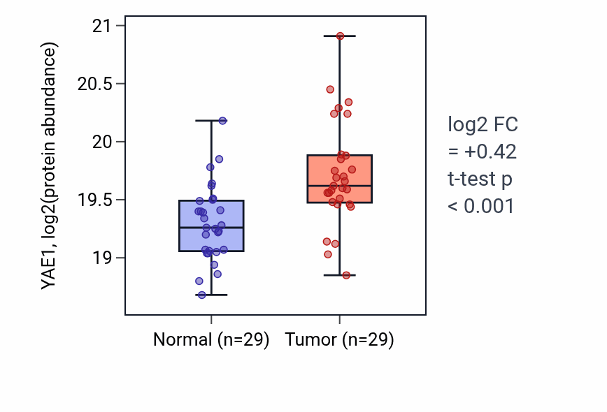 Tumor-vs-normal mass-spec protein box plot for YAE1 in LUAD.