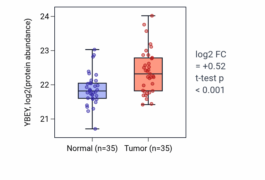 Tumor-vs-normal mass-spec protein box plot for YBEY in LUAD.