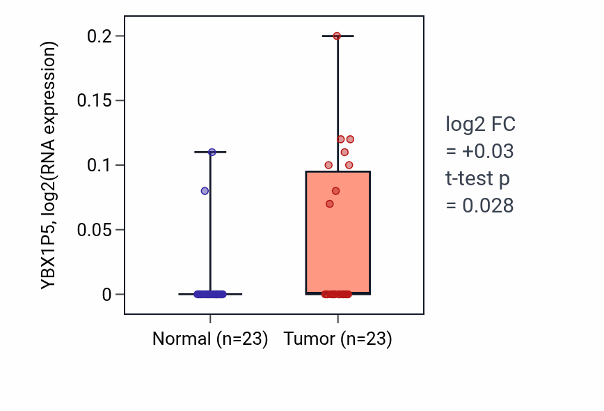Tumor-vs-normal expression box plot for YBX1P5 in LUSC.