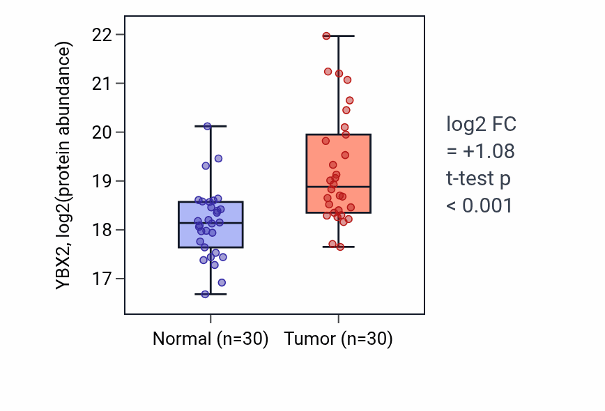 Tumor-vs-normal mass-spec protein box plot for YBX2 in LSCC.
