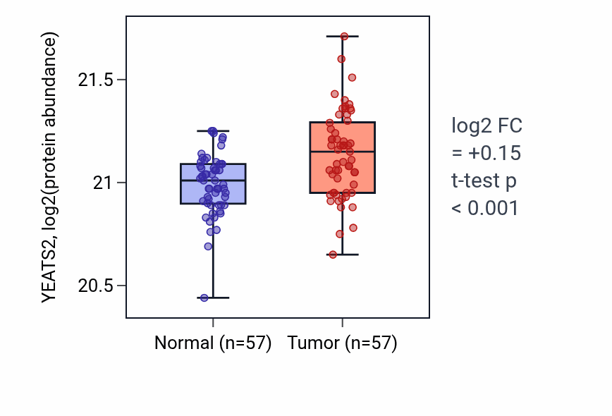 Tumor-vs-normal mass-spec protein box plot for YEATS2 in CCRCC.