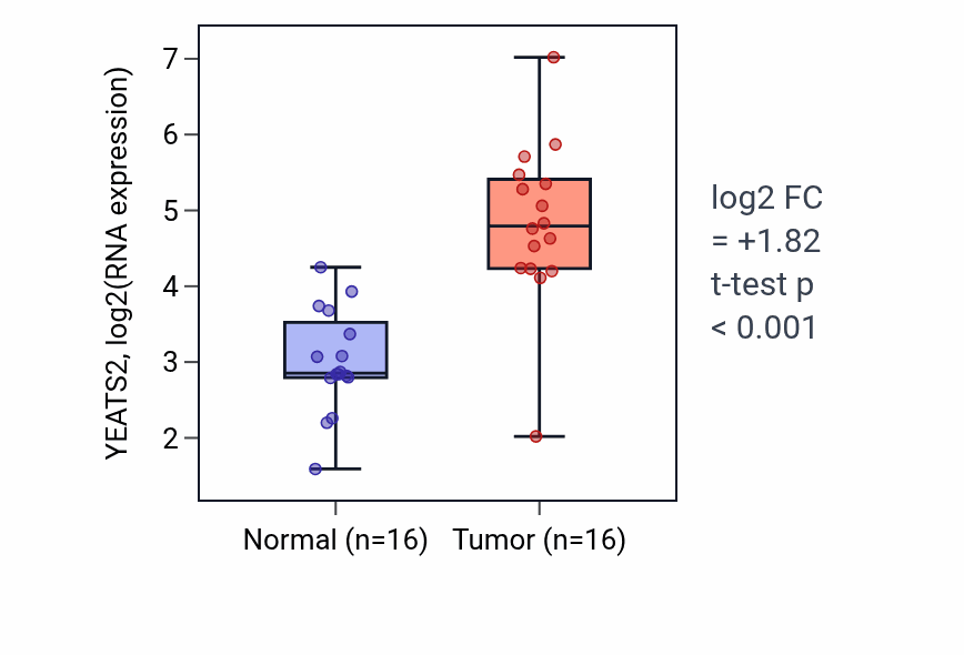 Tumor-vs-normal expression box plot for YEATS2 RNA in HNSC.