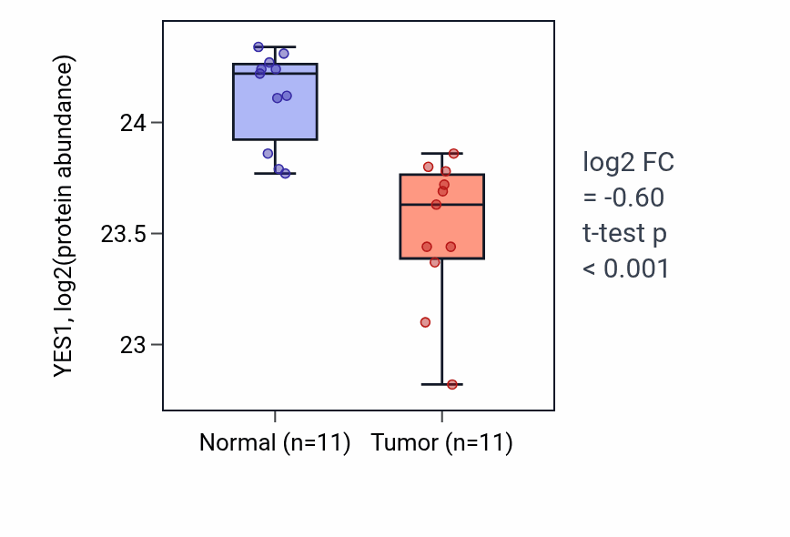 Tumor-vs-normal mass-spec protein box plot for YES1 in CCRCC.