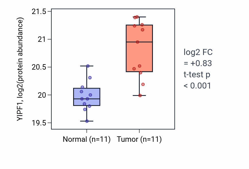 Tumor-vs-normal mass-spec protein box plot for YIPF1 in LUAD.