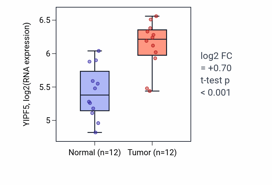 Tumor-vs-normal expression box plot for YIPF5 RNA in KIRC.